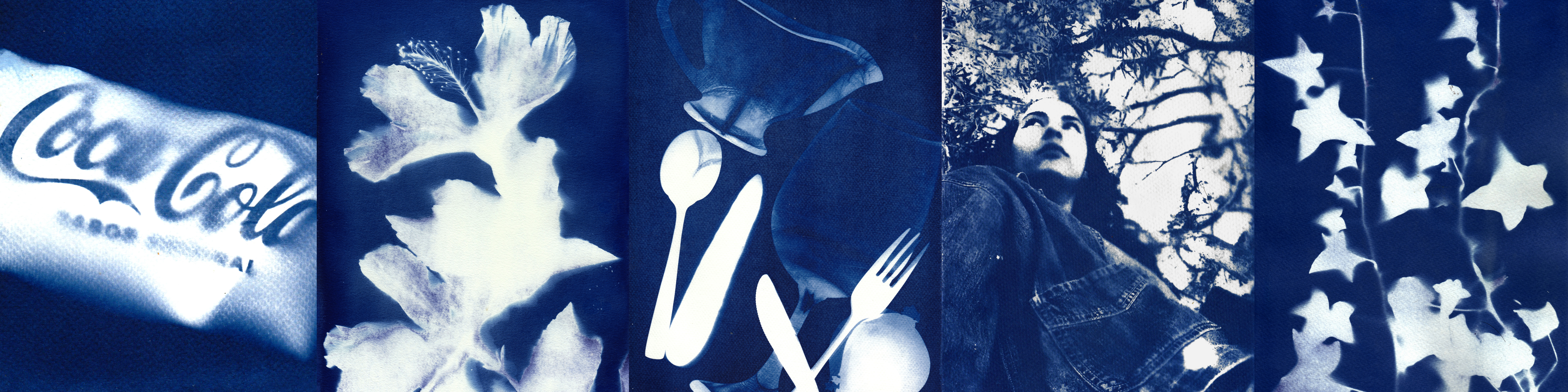 Título de la Sección