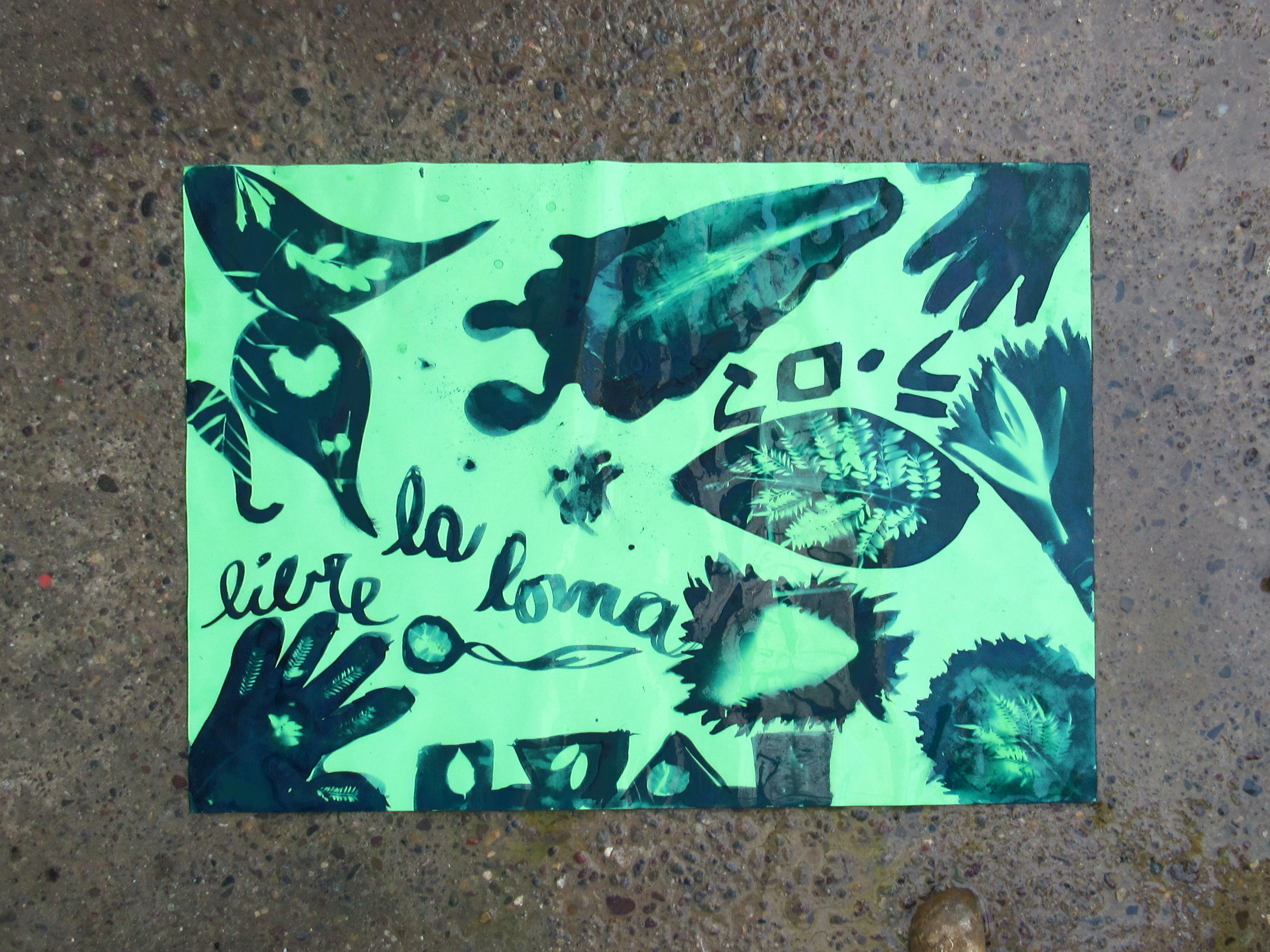 LABORATORIO CREATIVO DE PROCESOS FOTOGRÁFICOS SUSTENTABLES