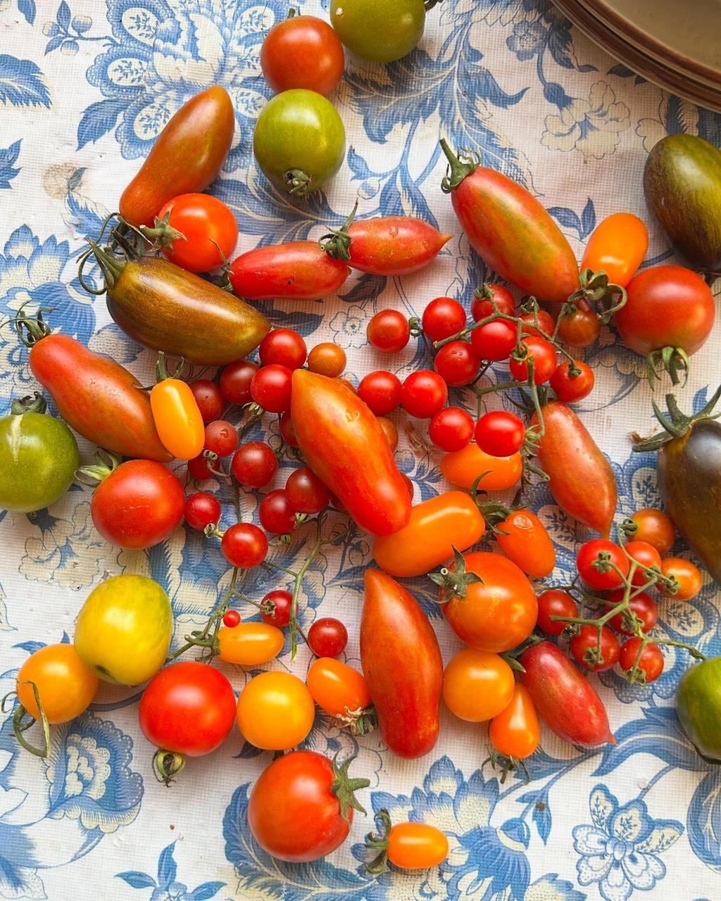 Huerto Agroecológico