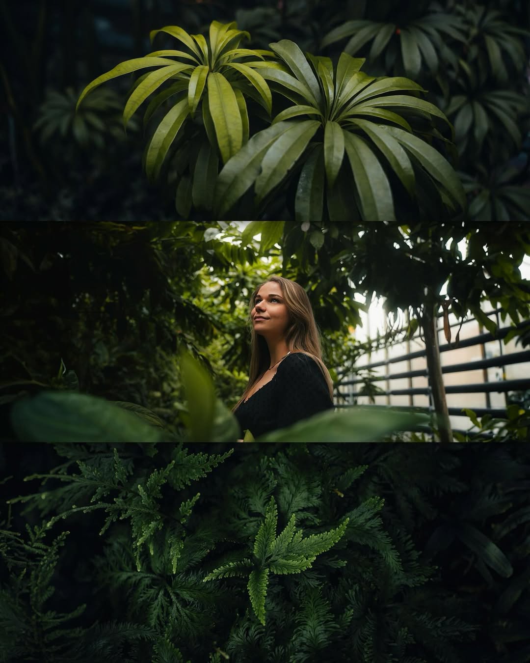 Elias Presets - Lightroom presets & LUTs for Creators