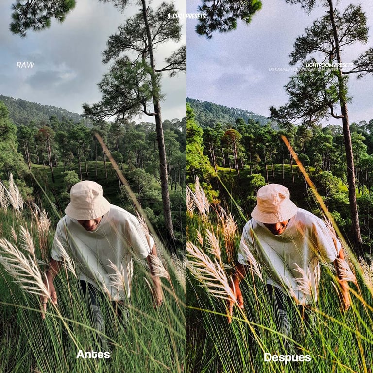 Elias Presets - Lightroom presets & LUTs for Creators