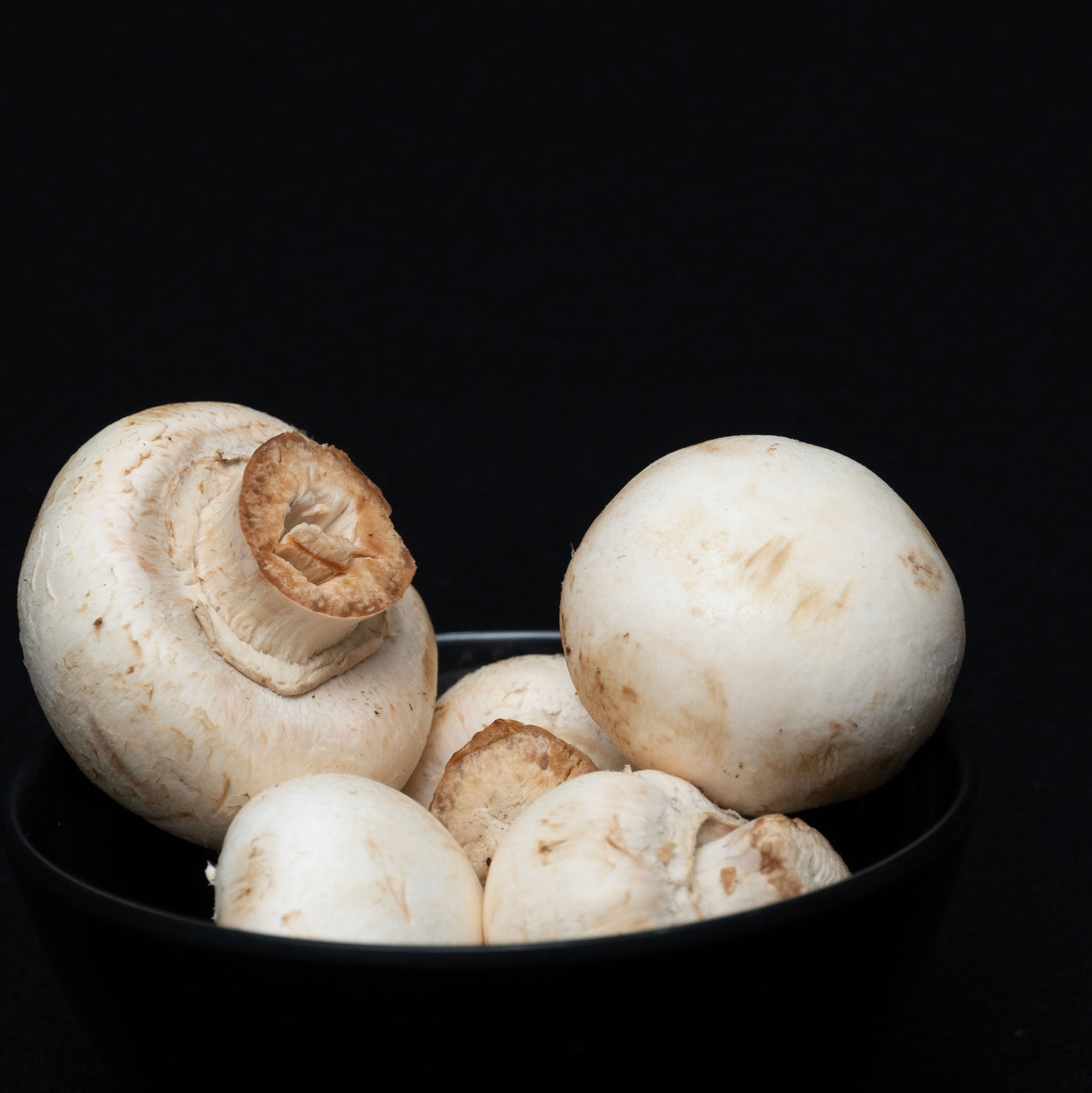 RETRATOS QUE CUENTAN HISTORIAS