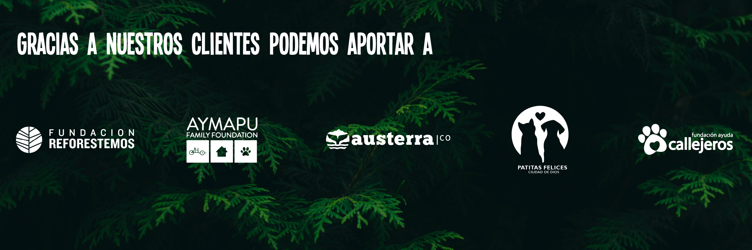 Título de la sección