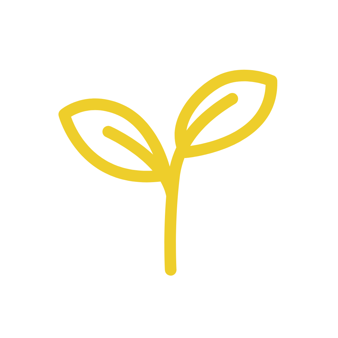 Orgánico