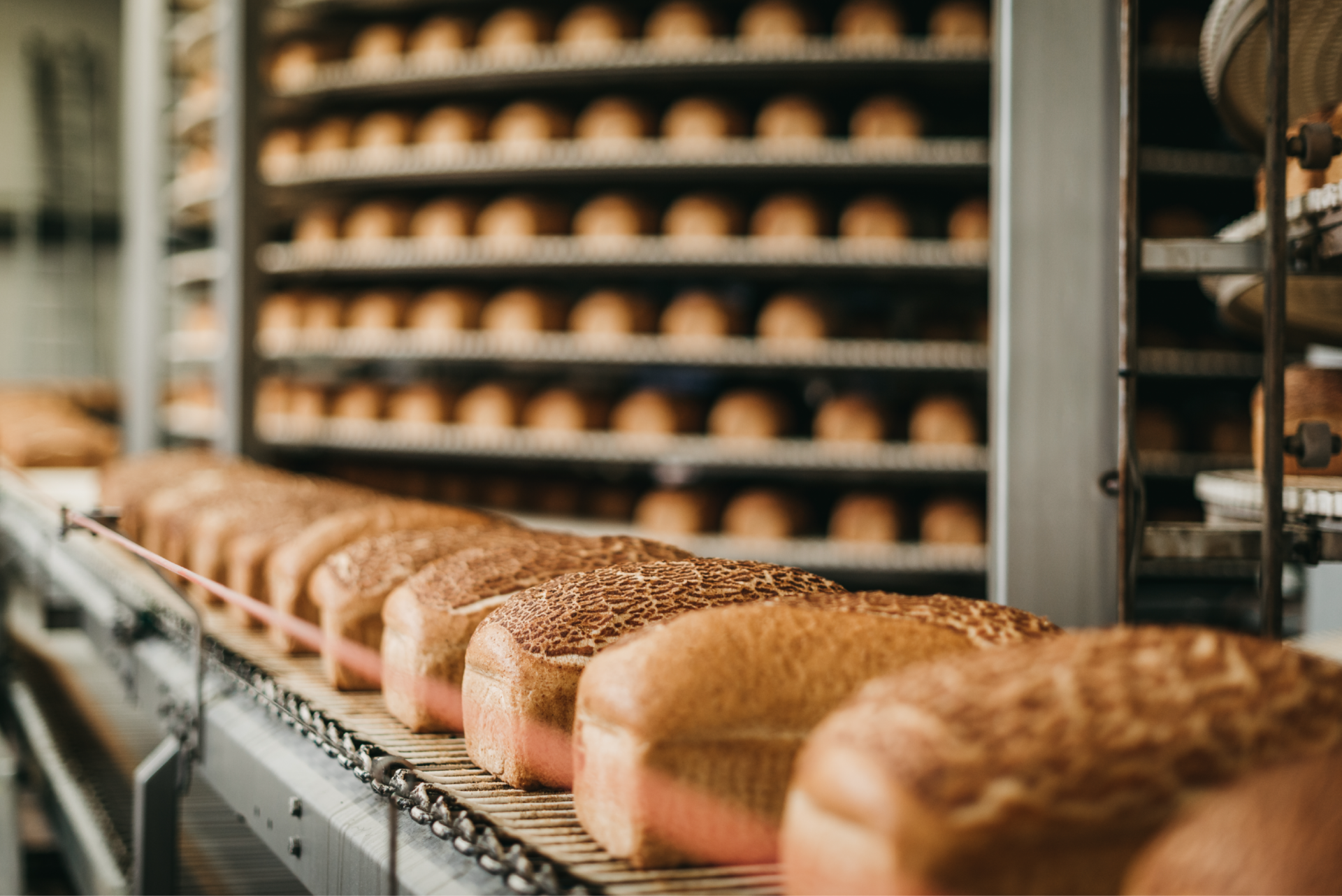 <b>🥖 Hogaza de masa madre Corteza crujiente, corazón suave. El pan que alimenta tu cuerpo y eleva tu día.