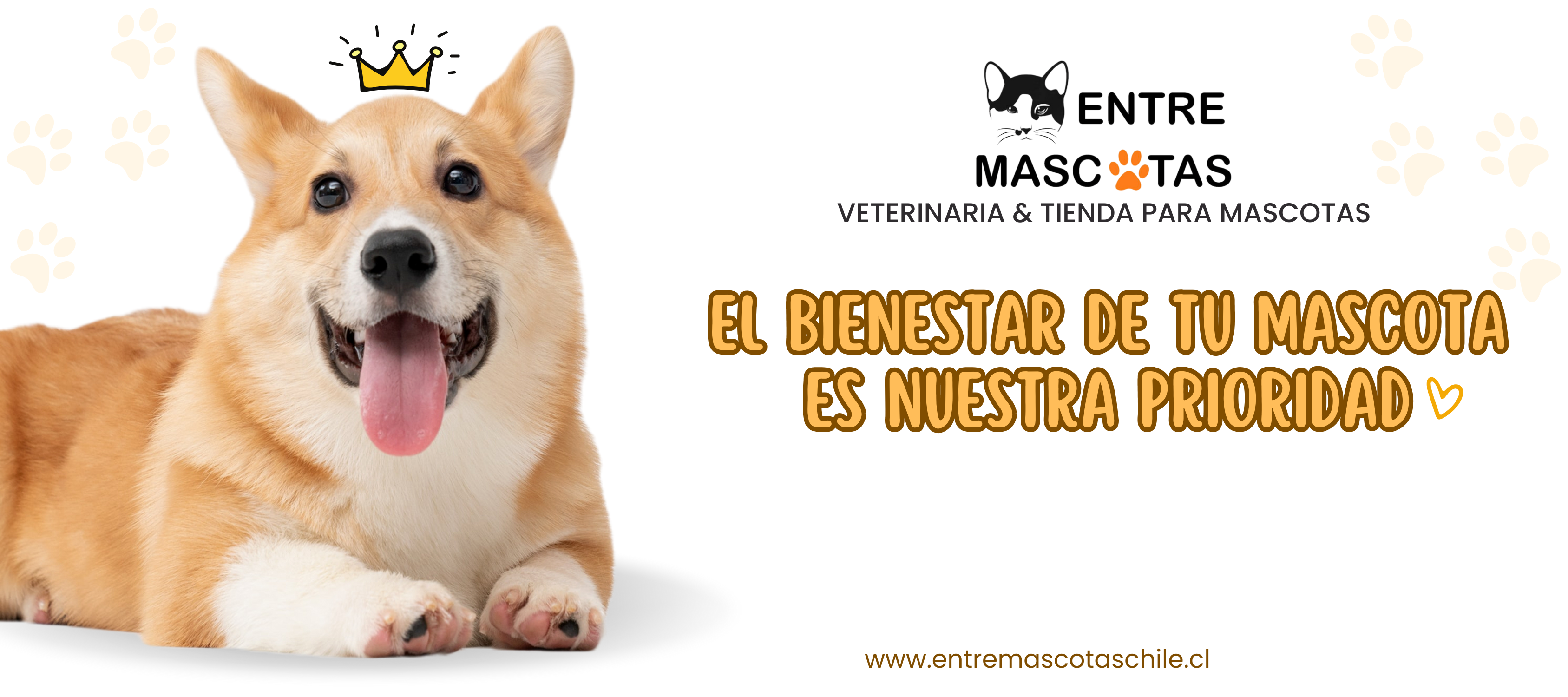 Entre Mascotas