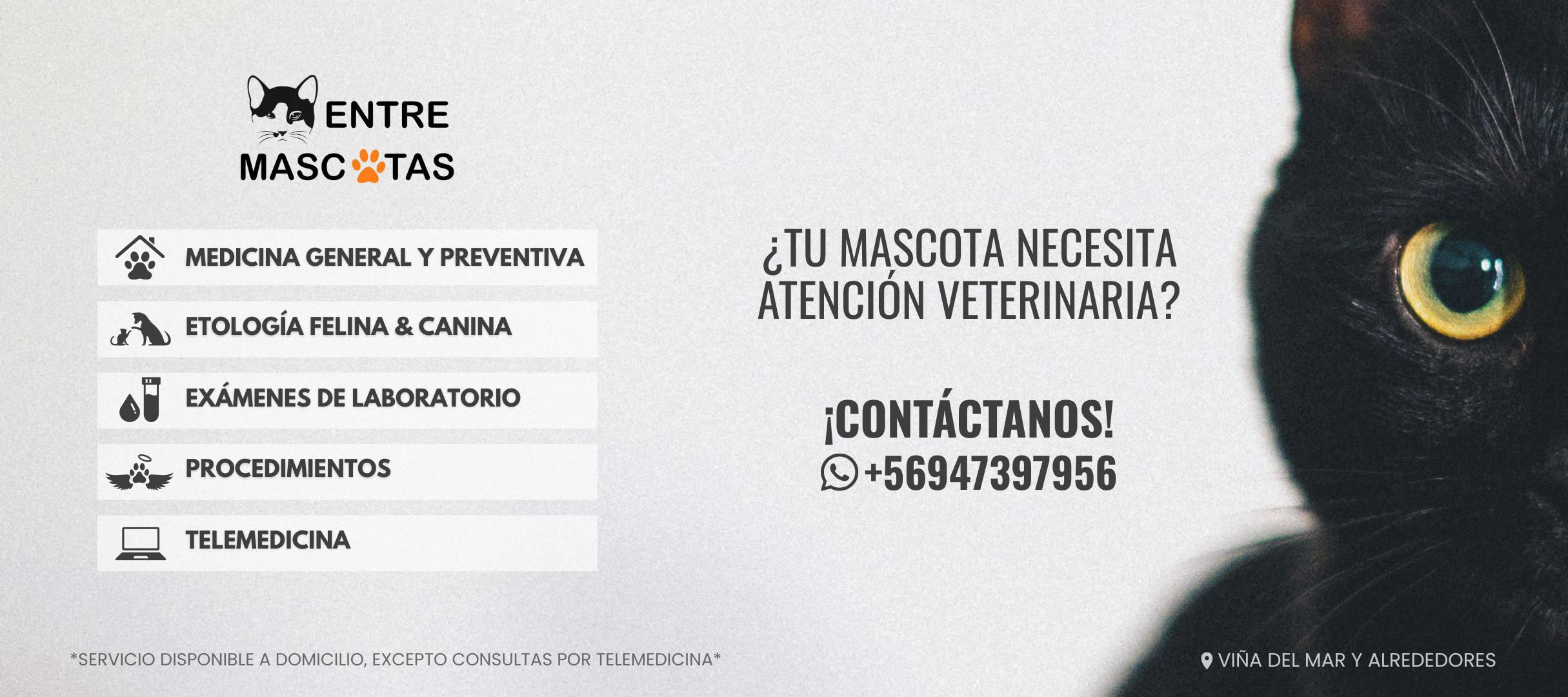 Título de la Sección