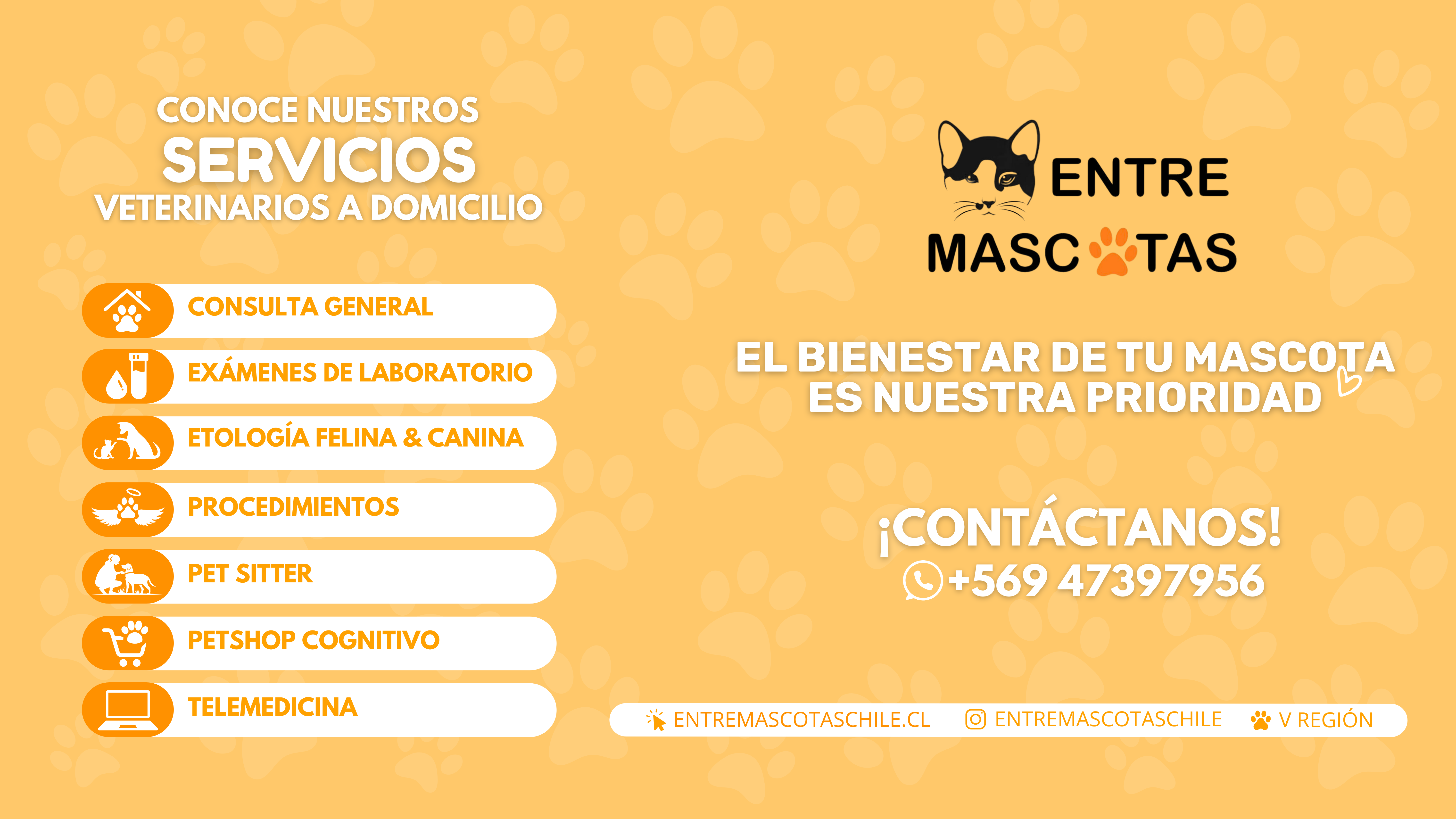 Entre Mascotas