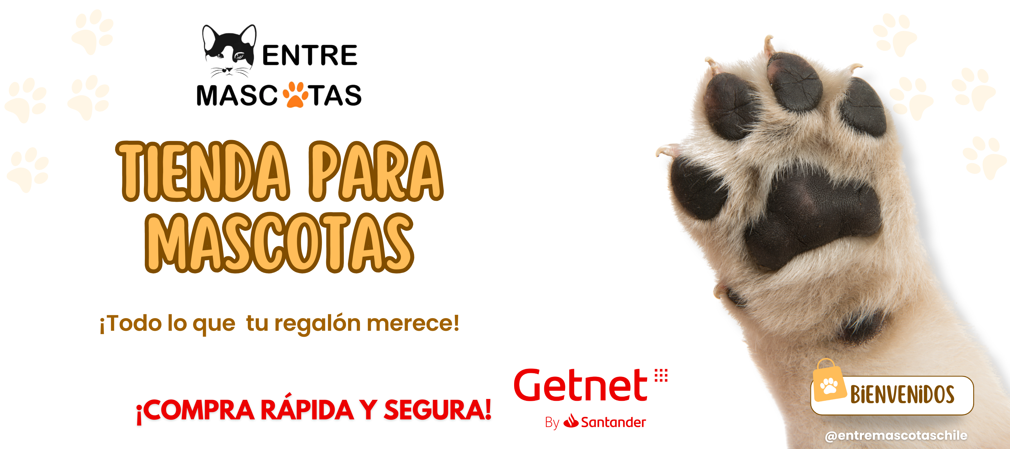 Título de la Sección