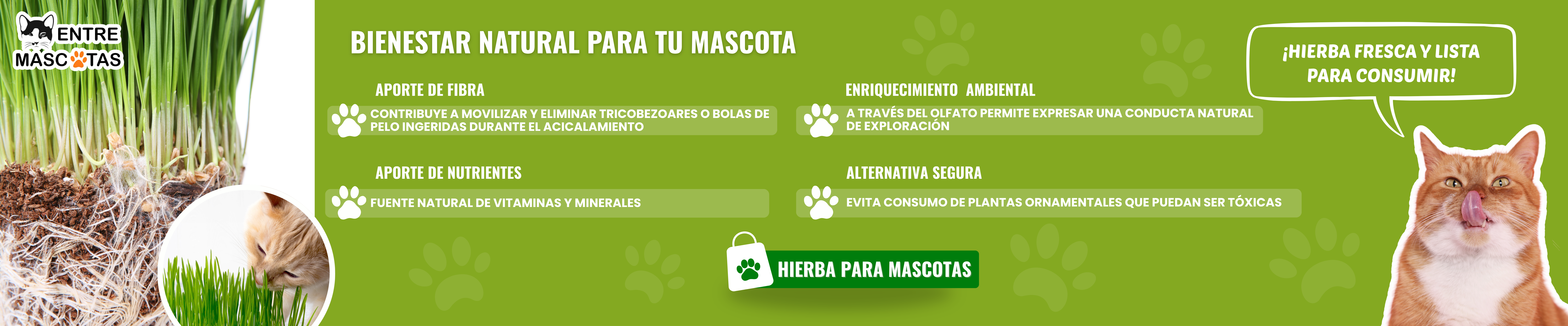 Entre Mascotas