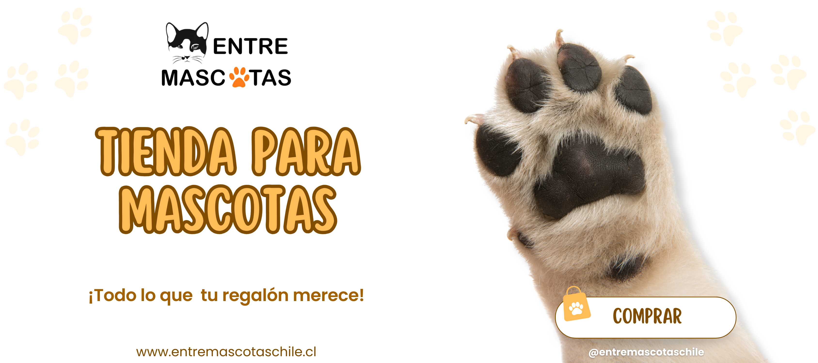 Título de la Sección
