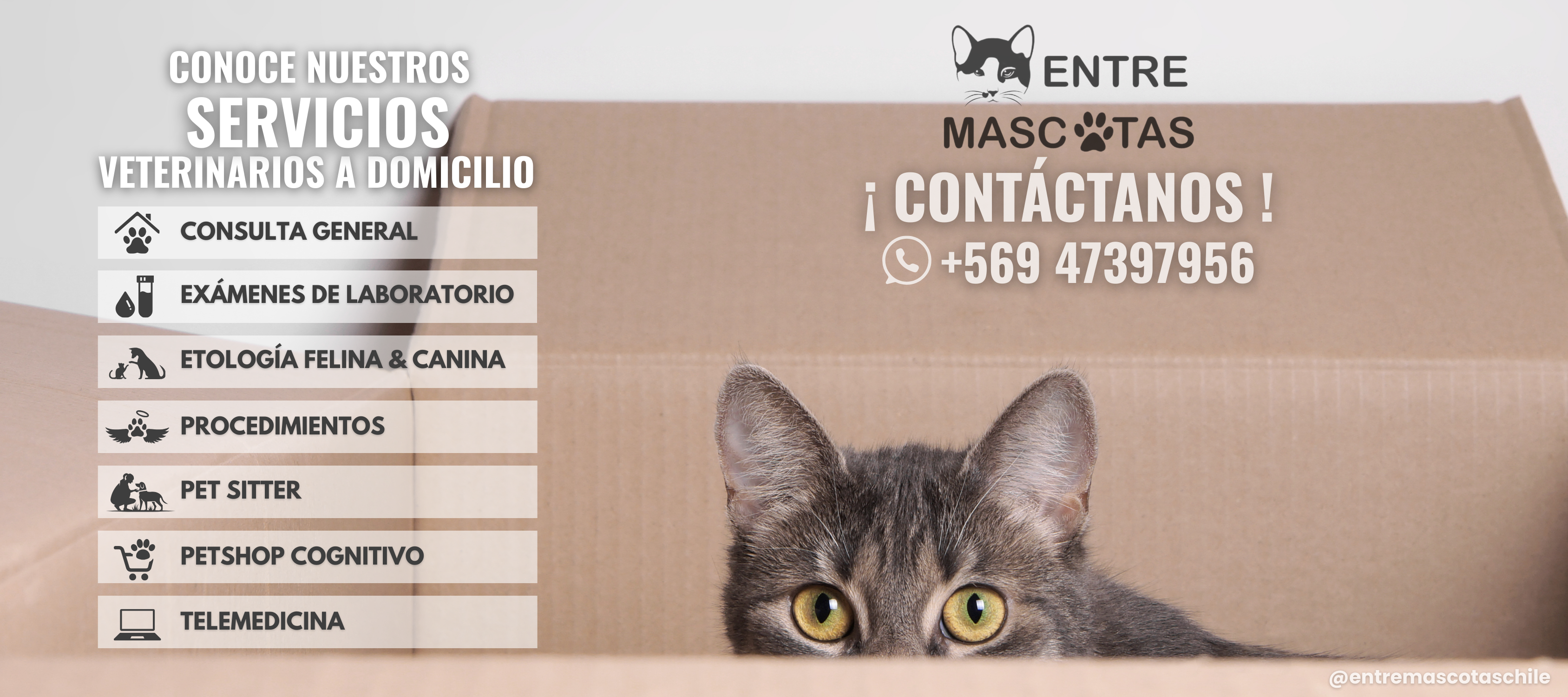 Título de la Sección