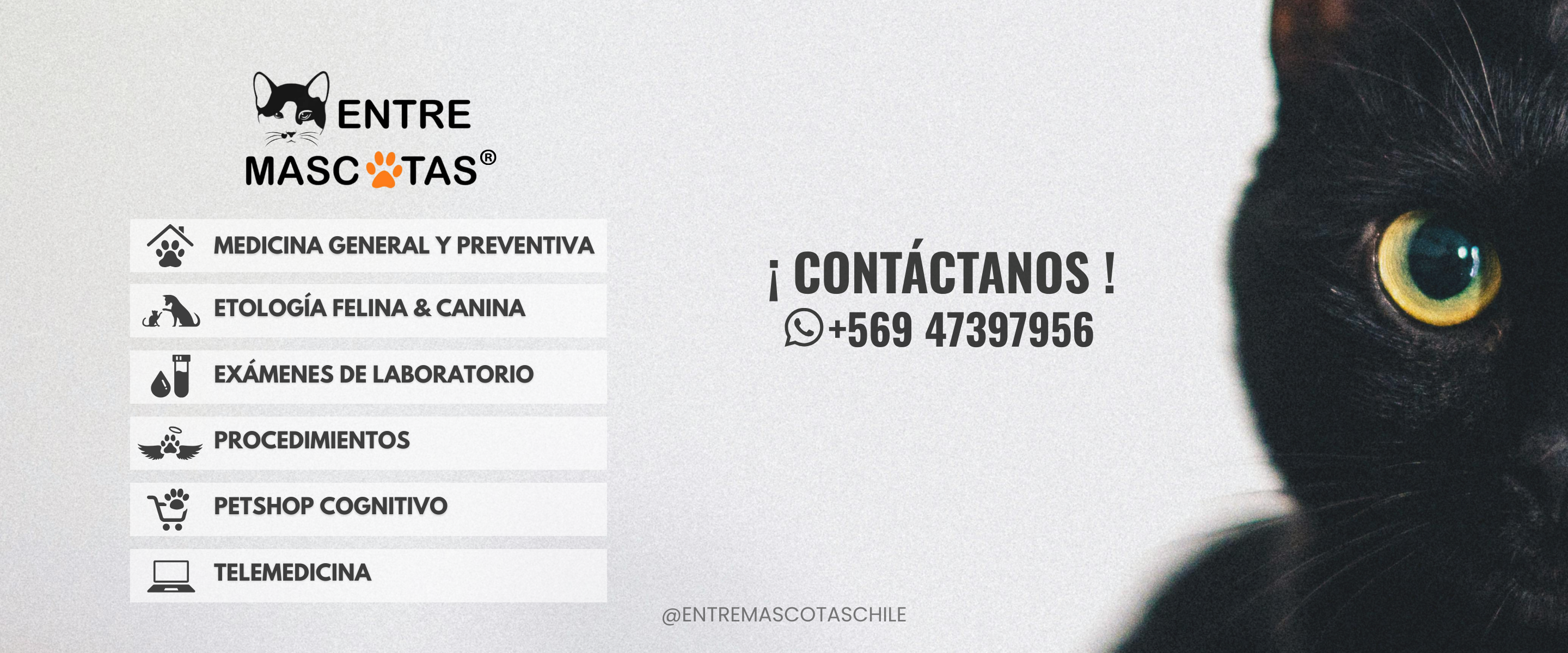 Título de la Sección