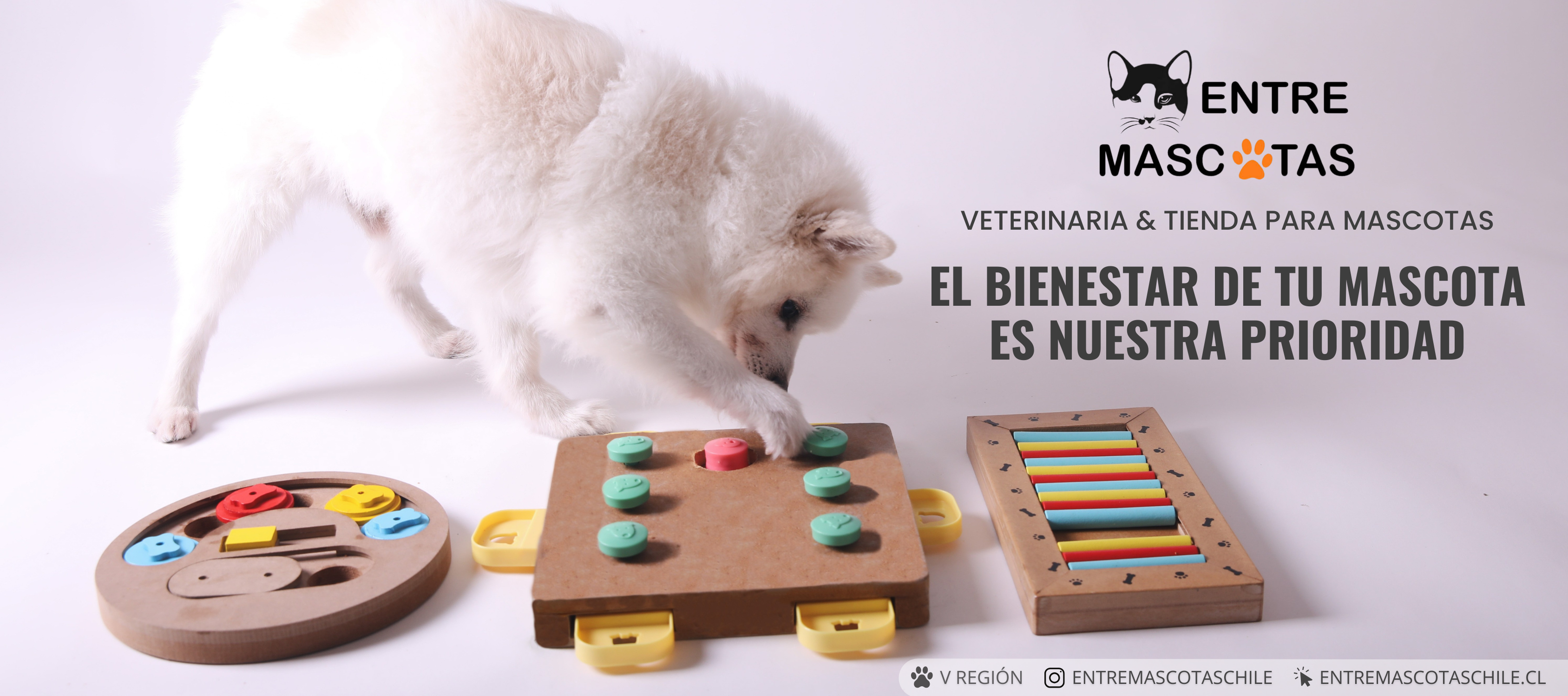 Entre Mascotas