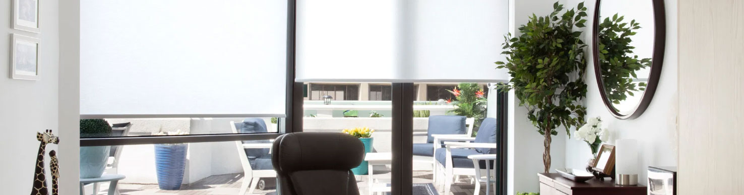 Rollers Shade Screen o Blackout