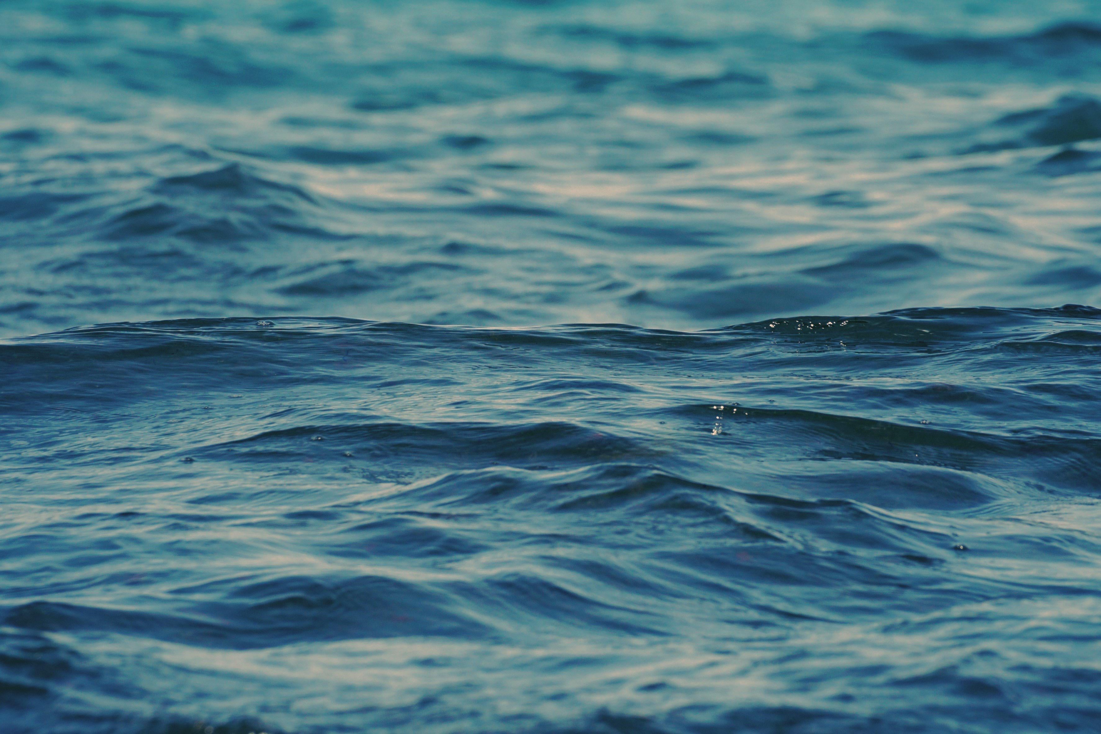 Inspiradas en el mar chileno.