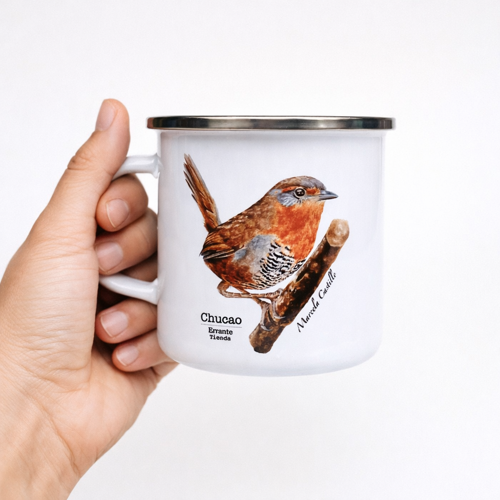 Descubre nuestros diseños
