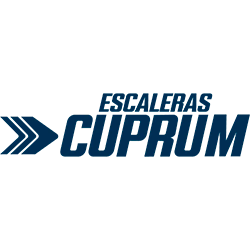 Escaleras Profesionales