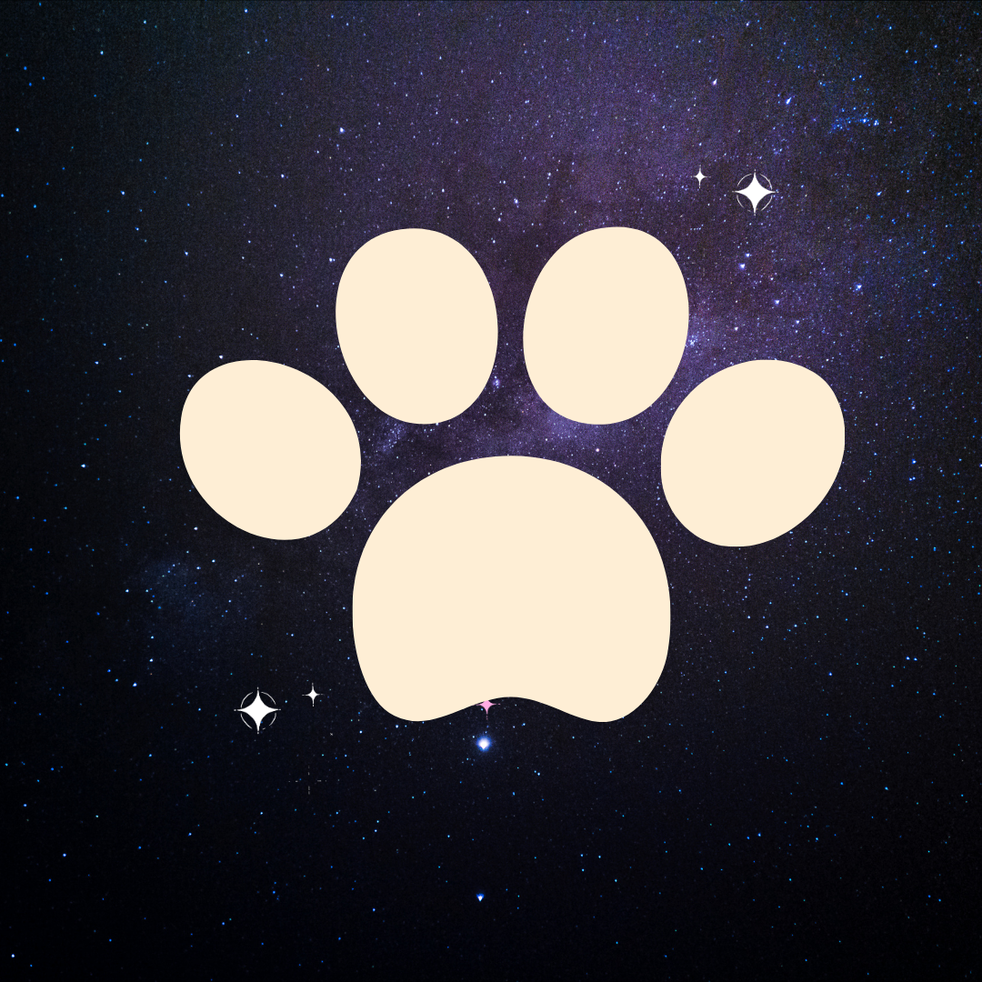 <b><i>Mascotas</i></b>