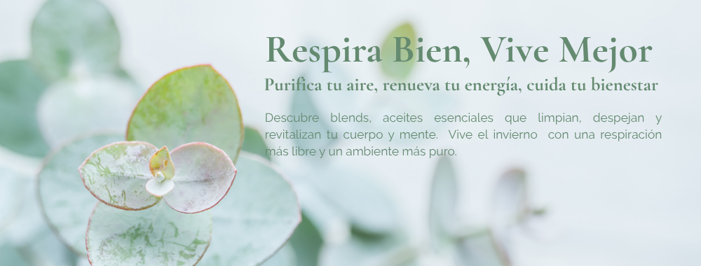 ESPACIO IVY