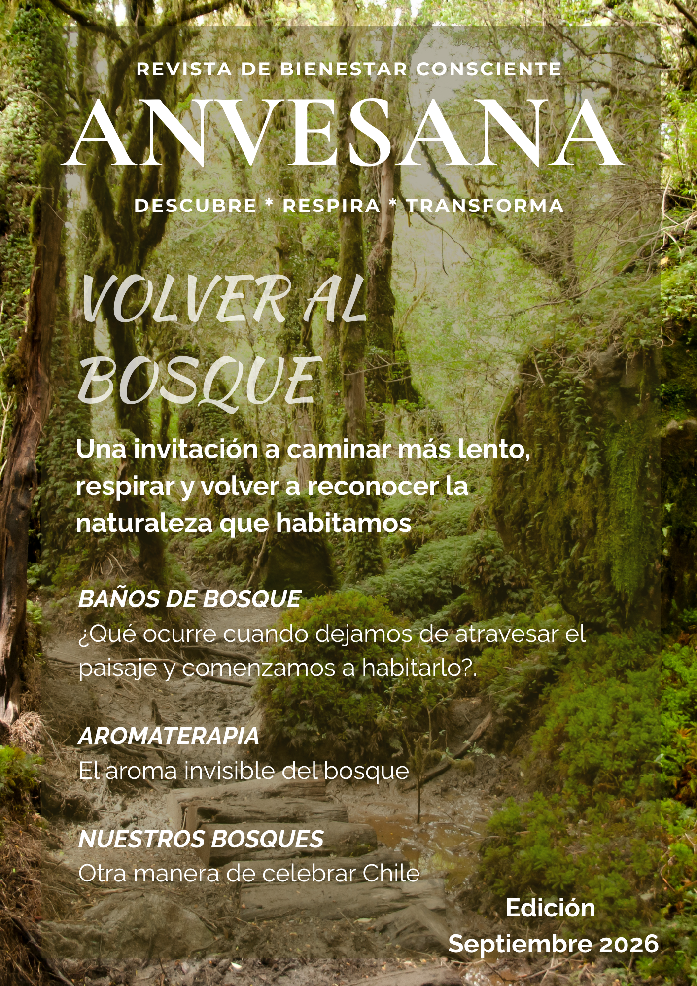 Edición Septiembre 2026