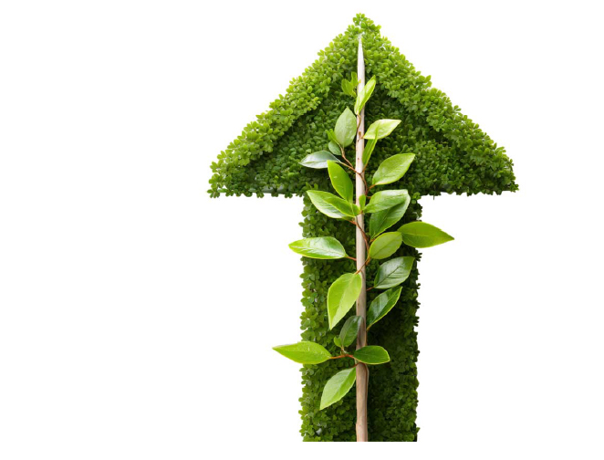 El Propósito de Net Zero