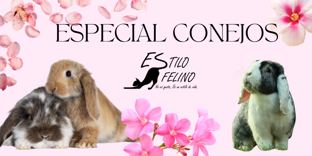 Especial Conejos