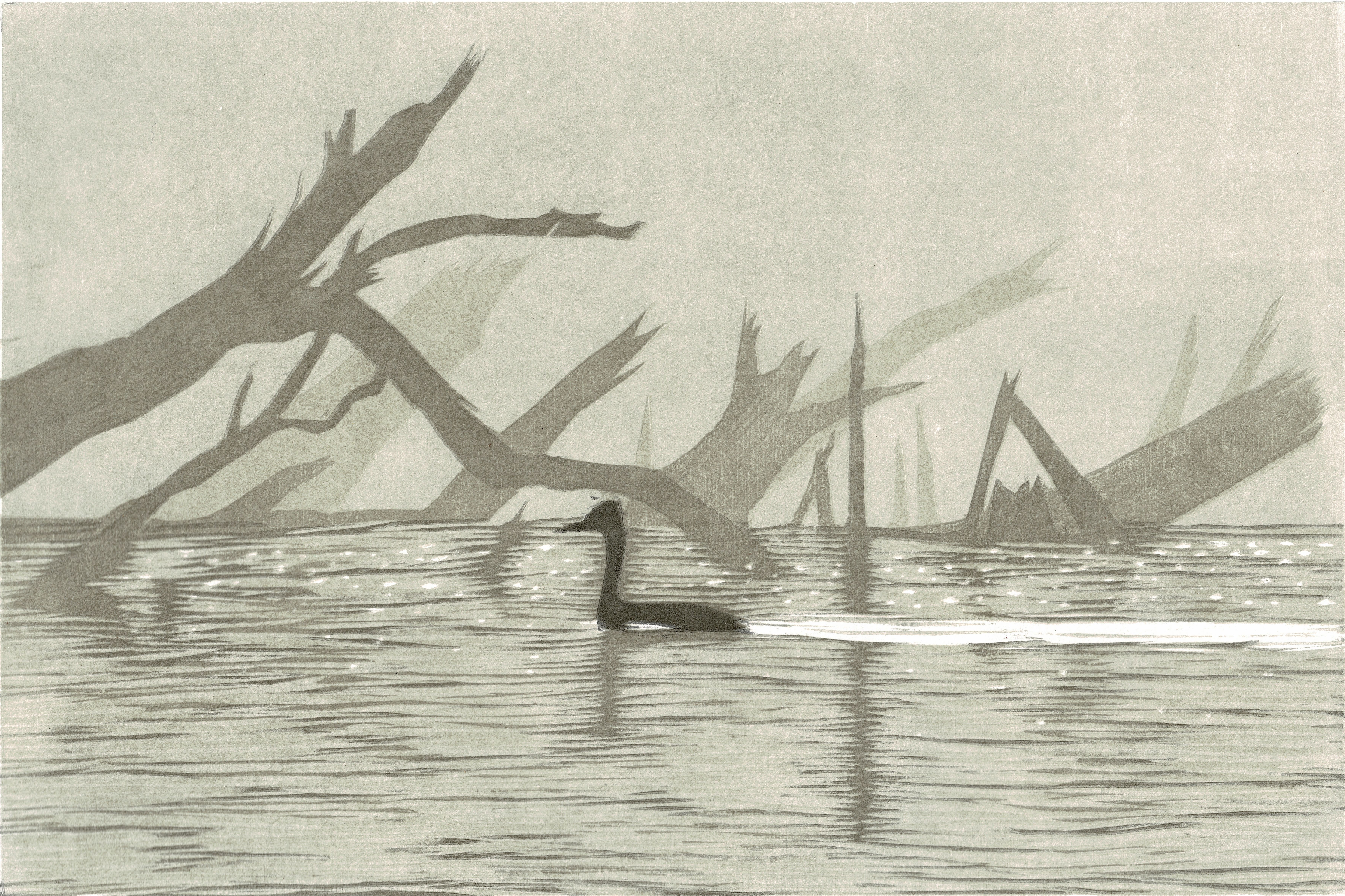 Escaneo Digital Profesional