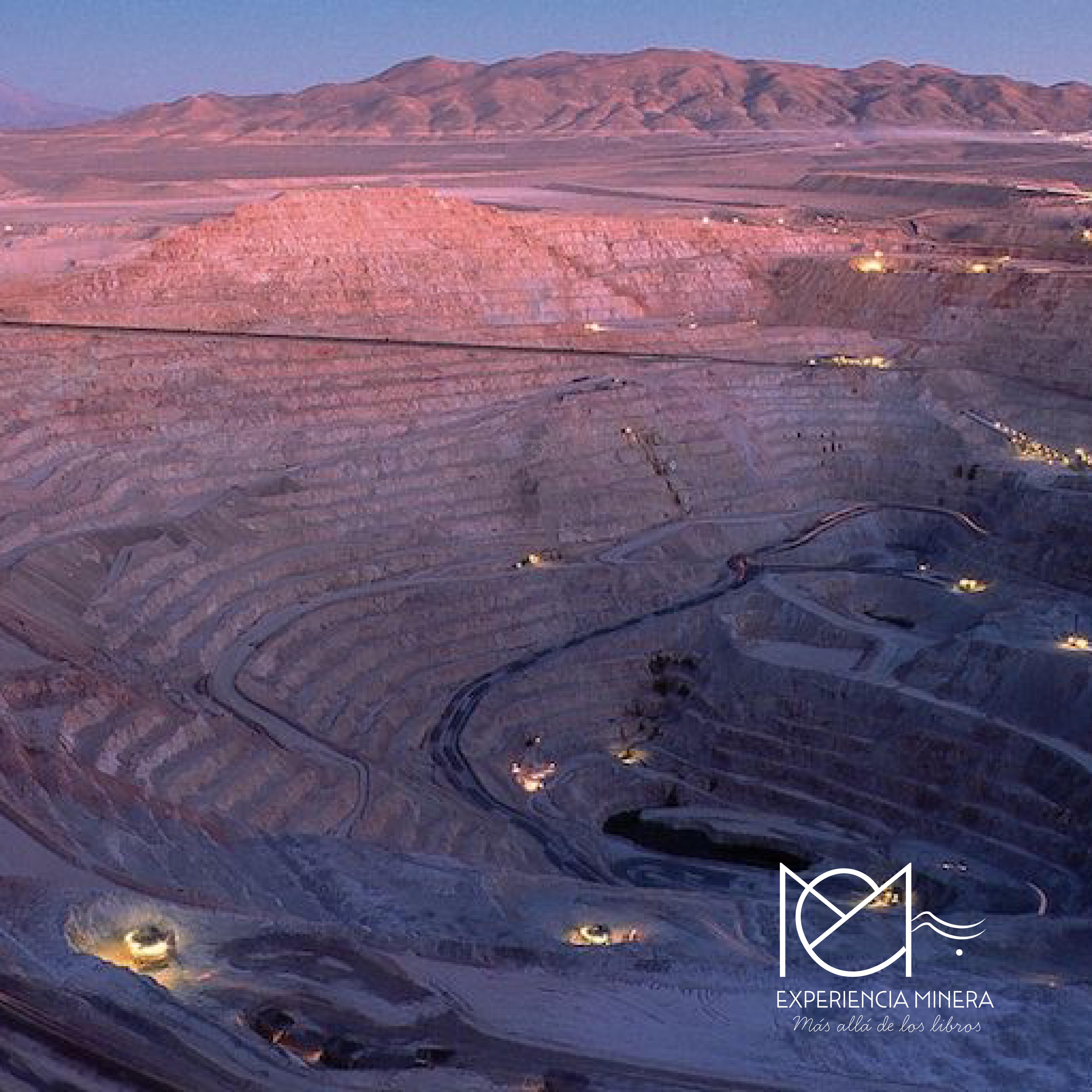 RECIBE TODAS LAS NOVEDADES, CURSOS Y BENEFICIOS