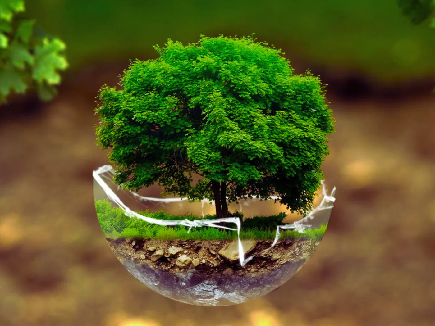 Comprometidos con el medioambiente