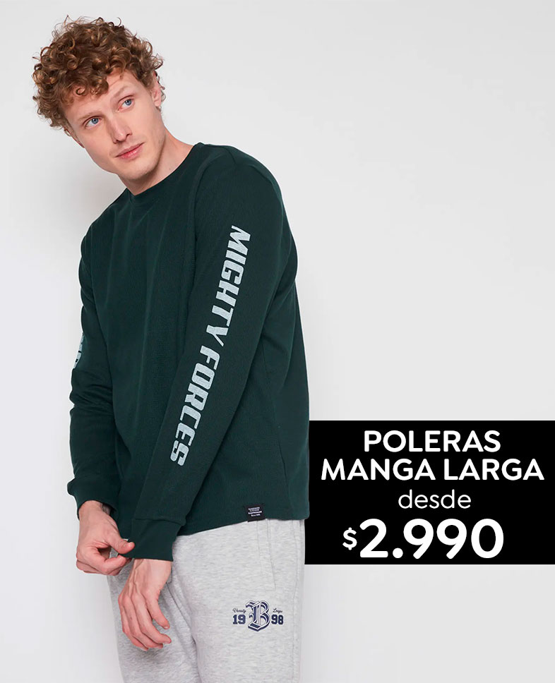 Título del banner