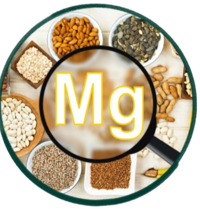 Magnesio