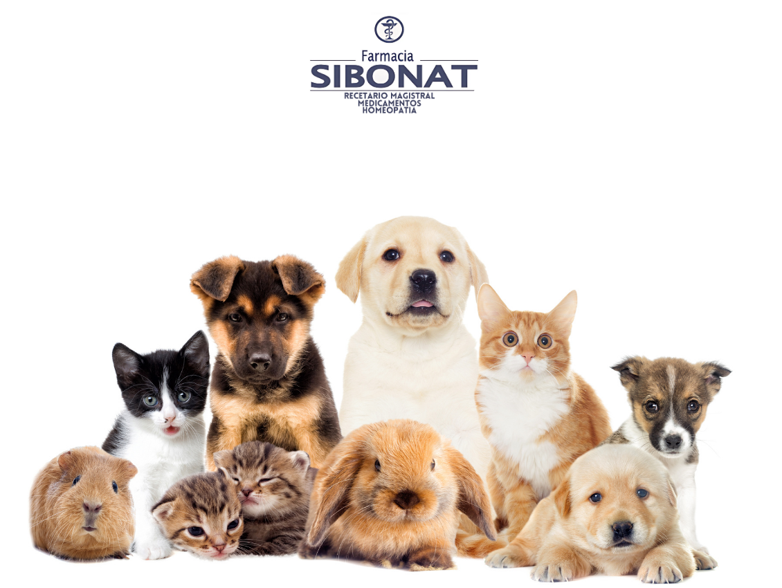Preparaciones Veterinarias