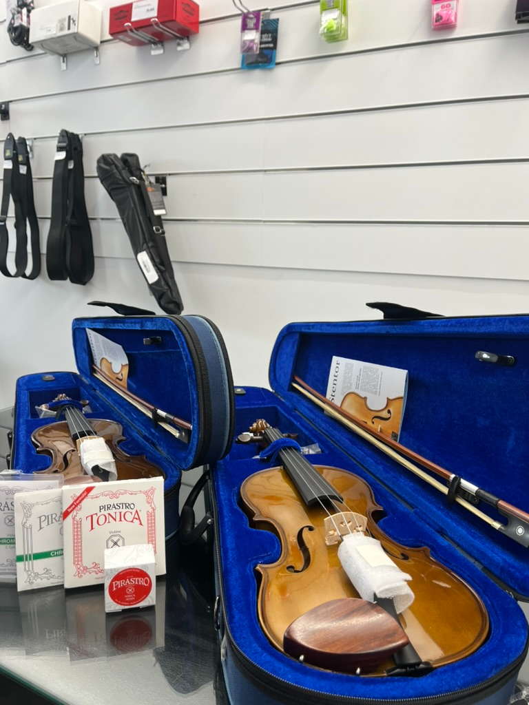 INSTRUMENTOS DE CORDAS