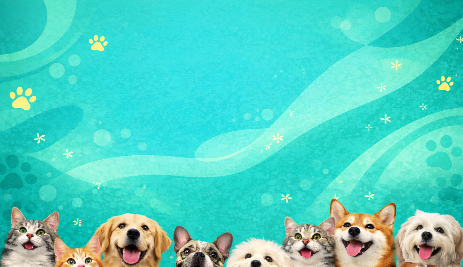 ENVÍOS A TODO CHILE