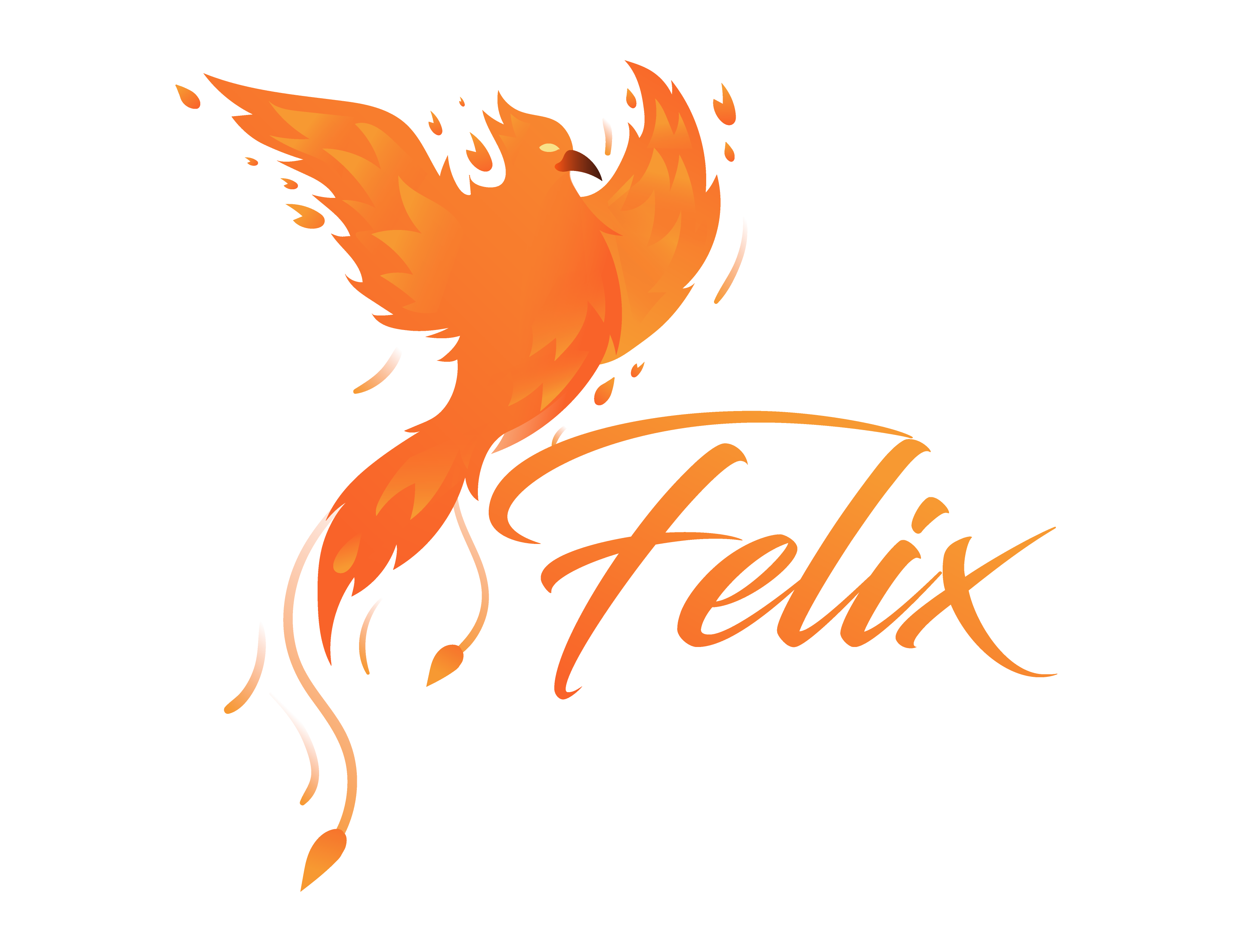 Felix Accesorios