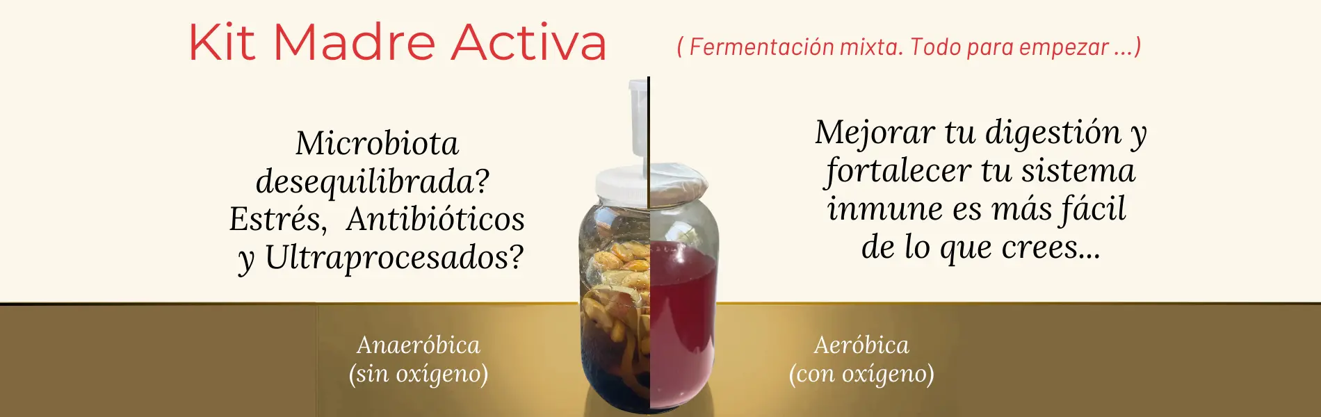 Fermenta y Sana® | Fermentadores y productos para Fermentar en Casa