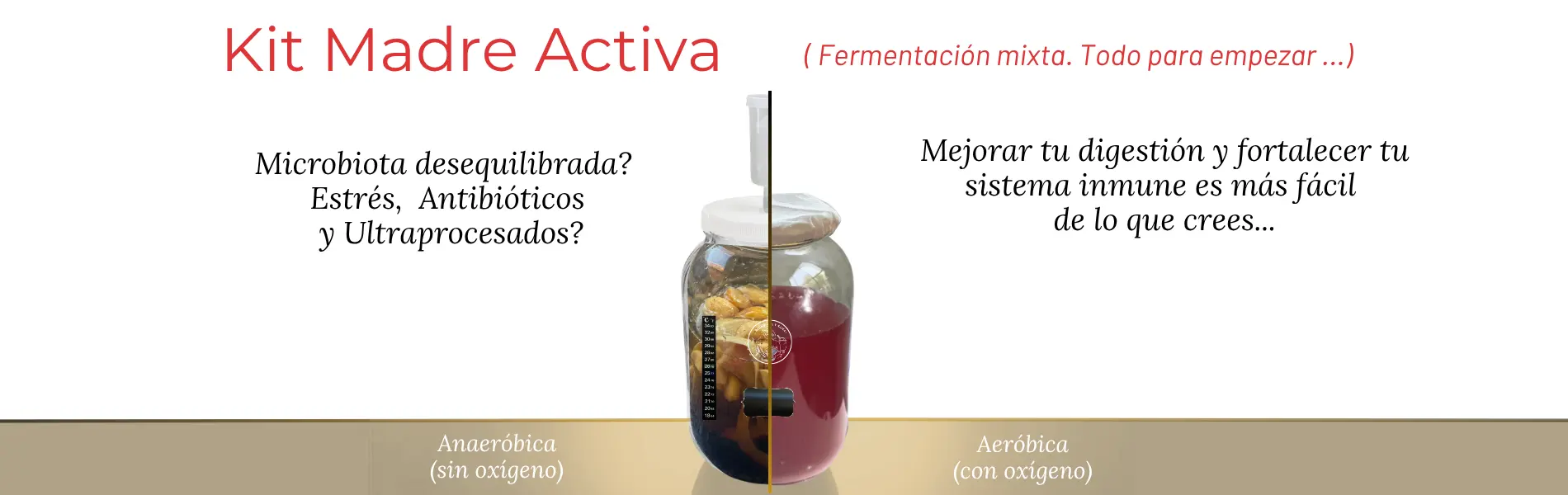 Fermenta y Sana® | Fermentadores y productos para Fermentar en Casa