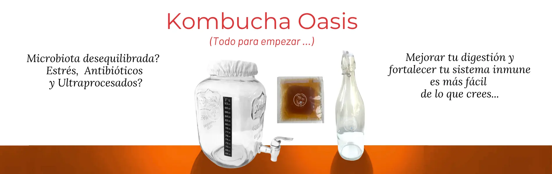 Fermenta y Sana® | Fermentadores y productos para Fermentar en Casa