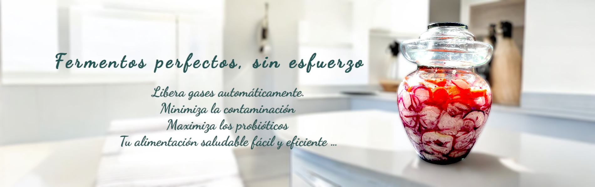 Fermenta y Sana ... tu tienes el poder de mejorar tu flora intestinal.