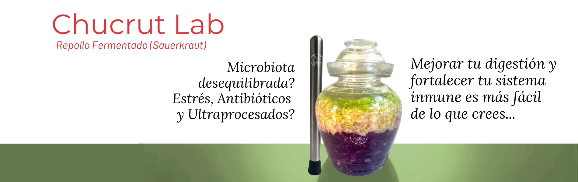 Fermenta y Sana ... tu tienes el poder de mejorar tu flora intestinal.