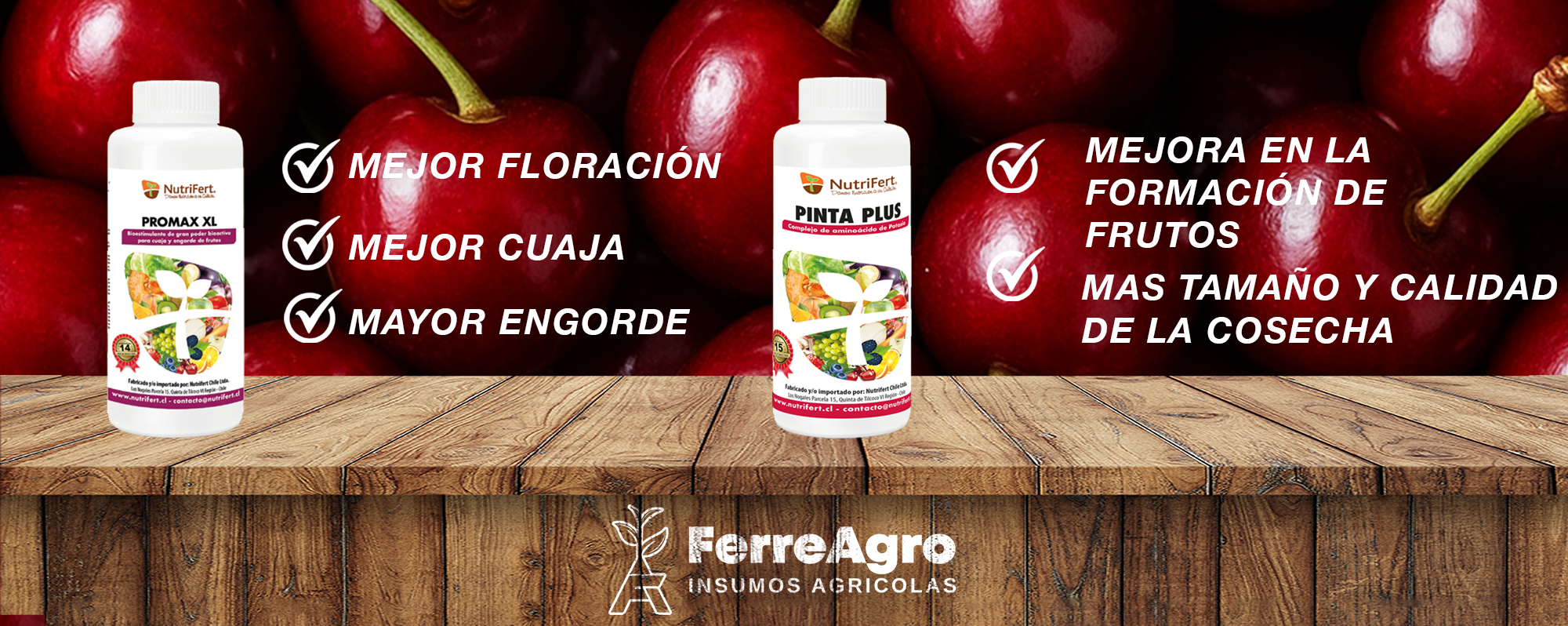 Título de la Sección