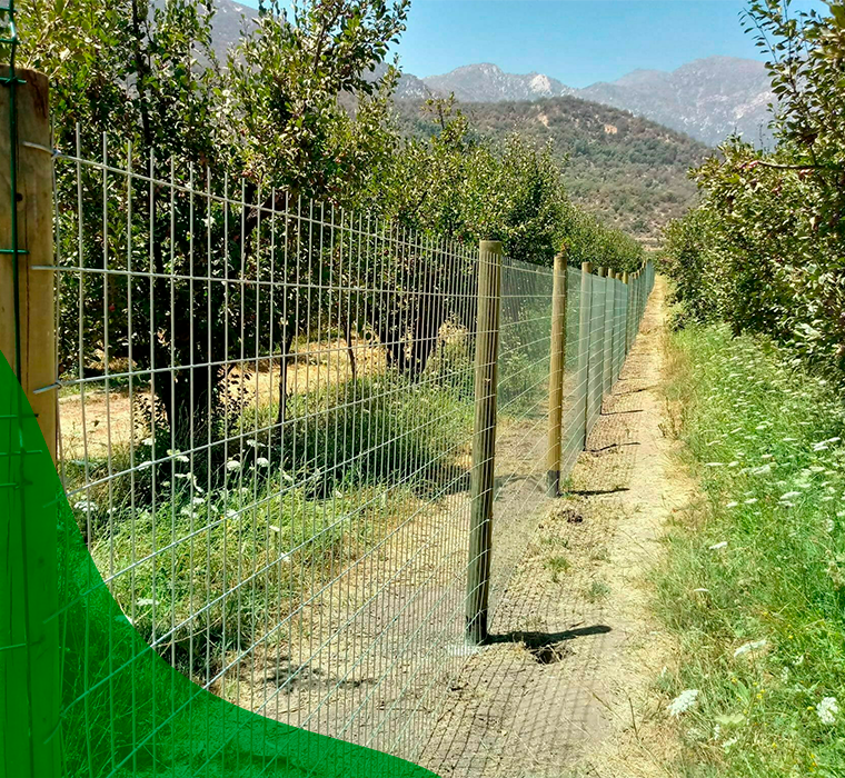 <em>Mallas / Alambres / Fierros</em><em></em>