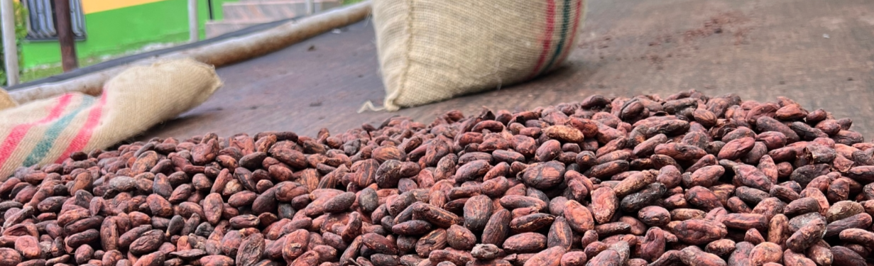¿Sabías que para hacer una barra de chocolate artesanal se necesitan entre 40 y 50 semillas de cacao fermentadas y secadas al sol?