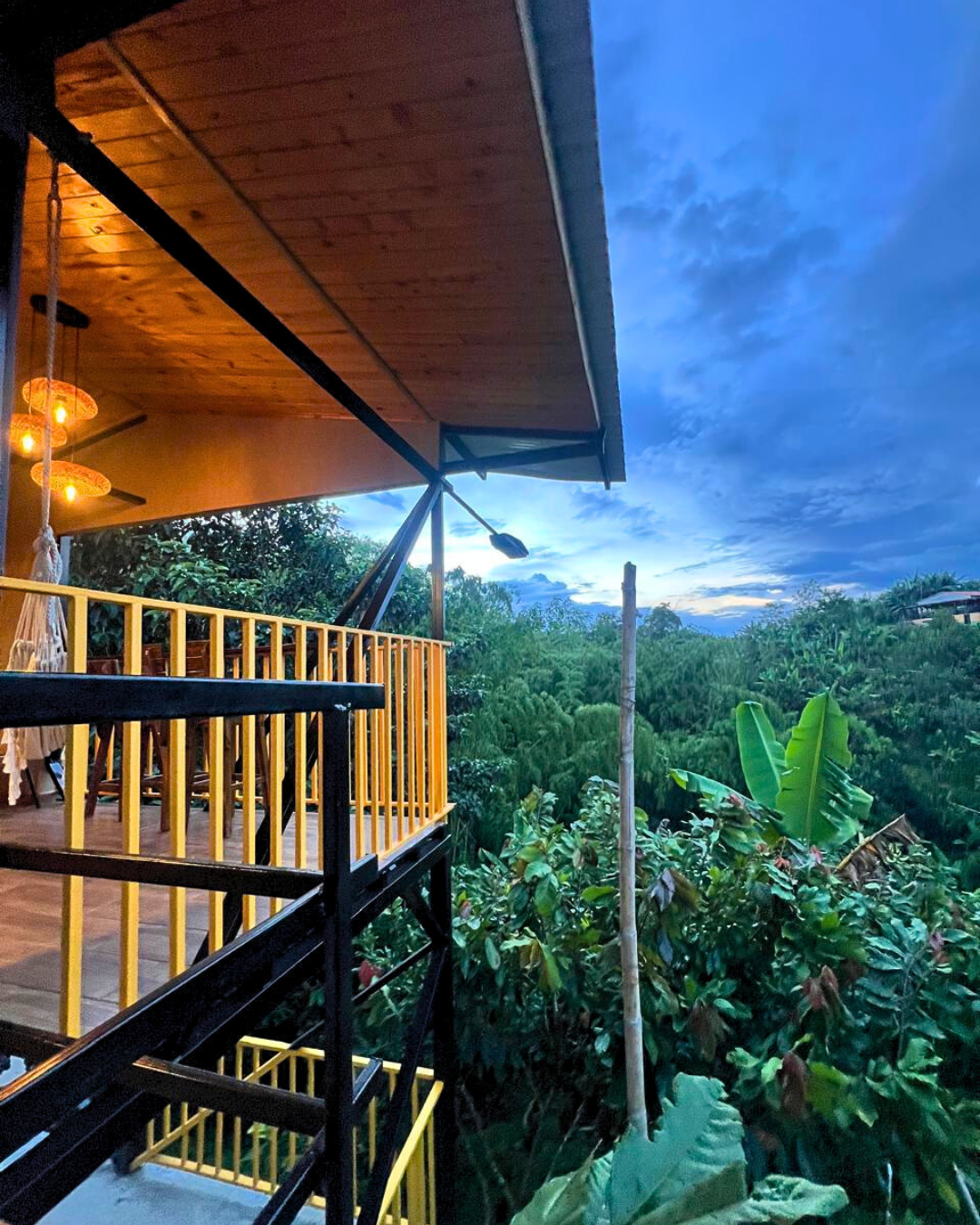 Finca Evelyza