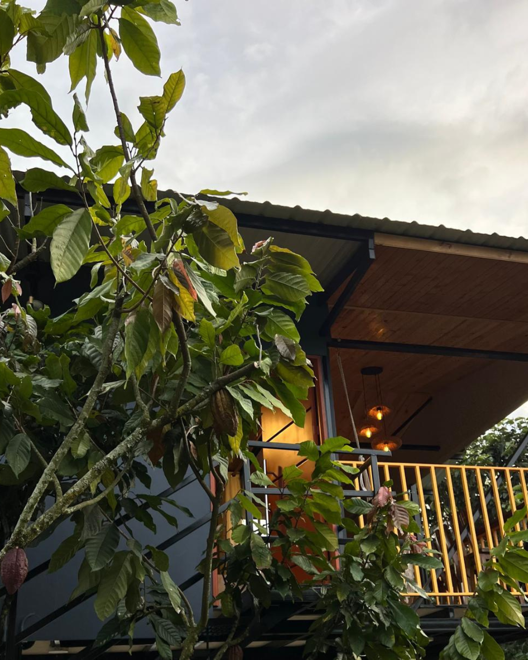 Finca Evelyza