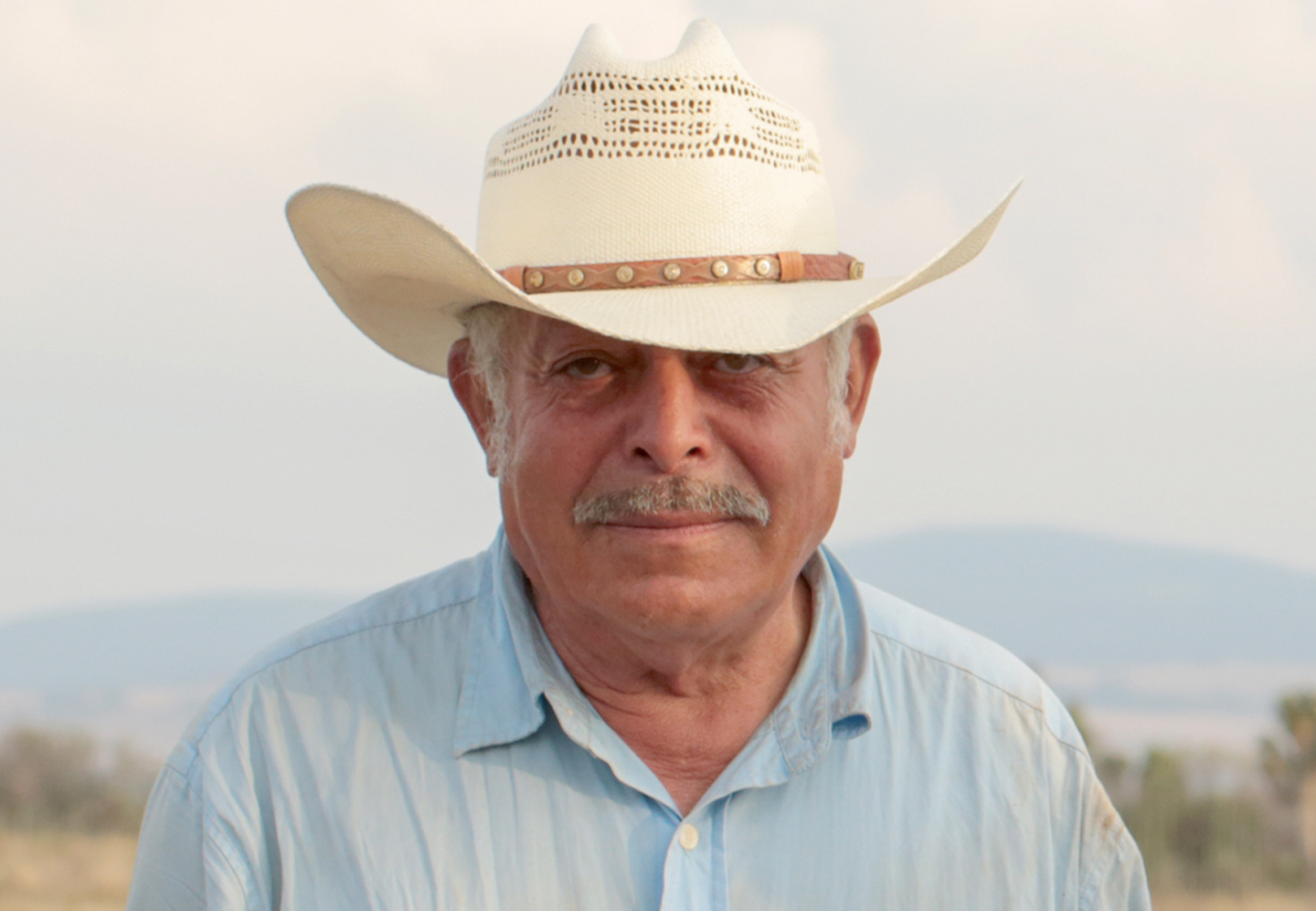 Tradición magueyera