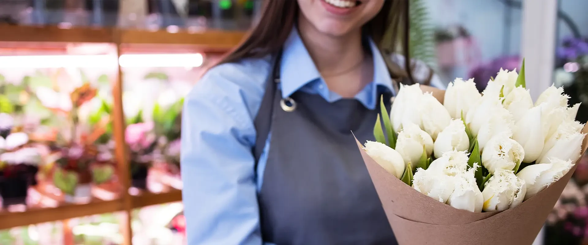 Diseños clásicos y modernos