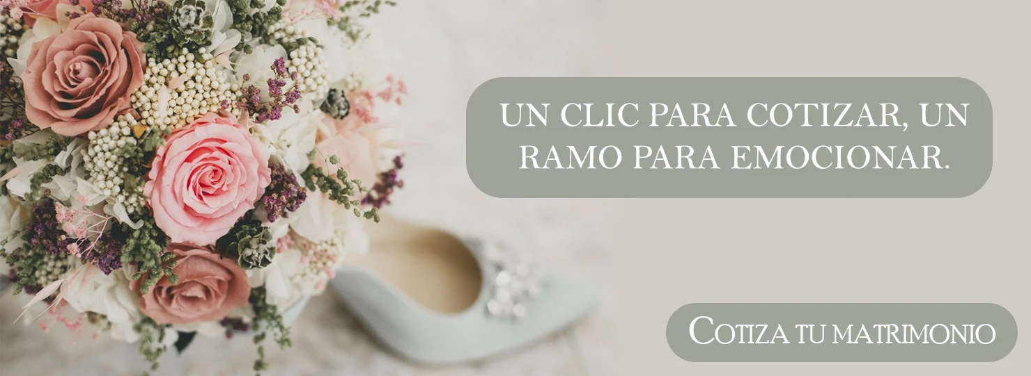 Título del banner