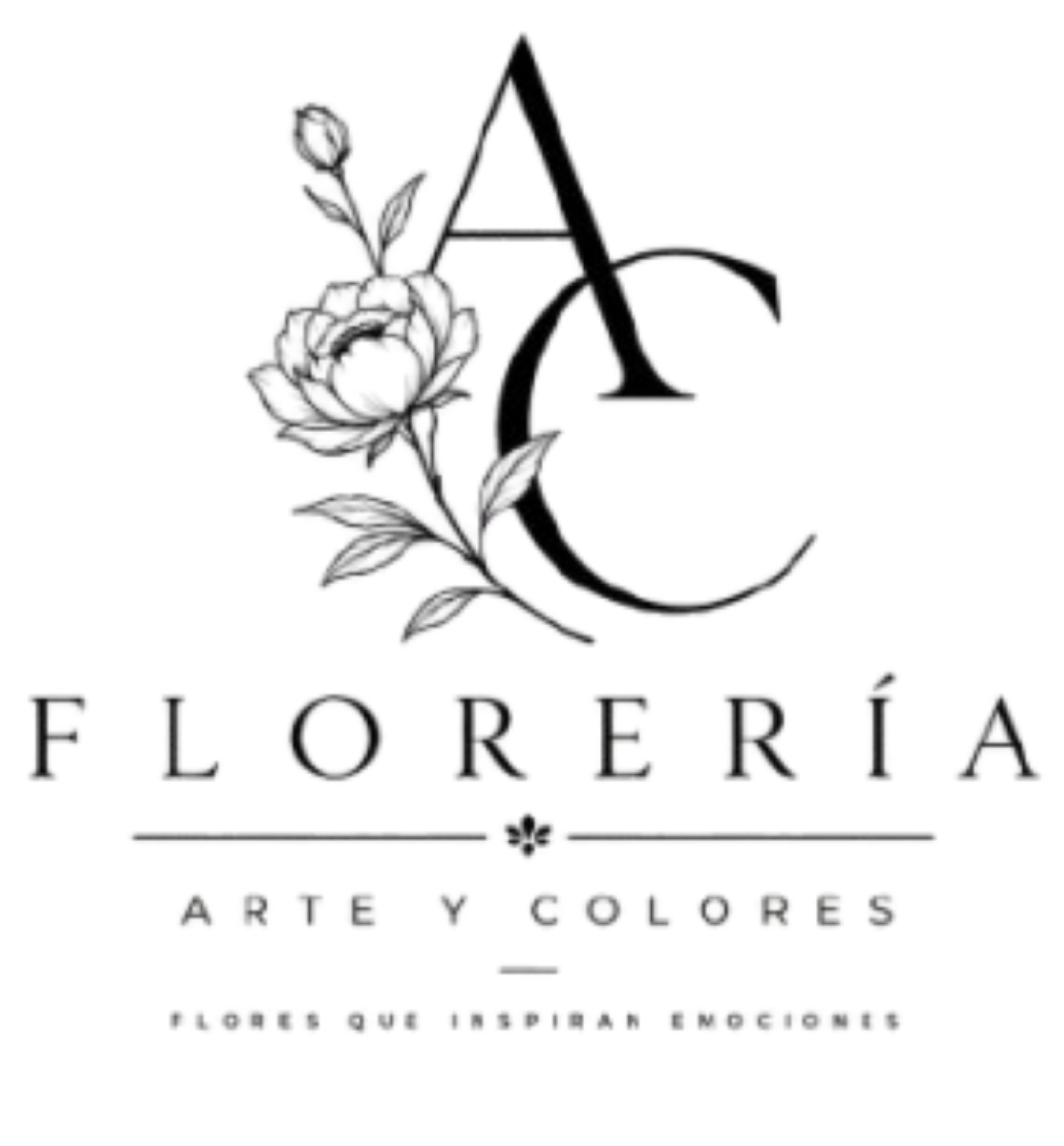 Floreria Arte y Colores